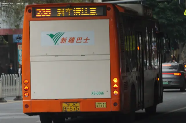 800BUS