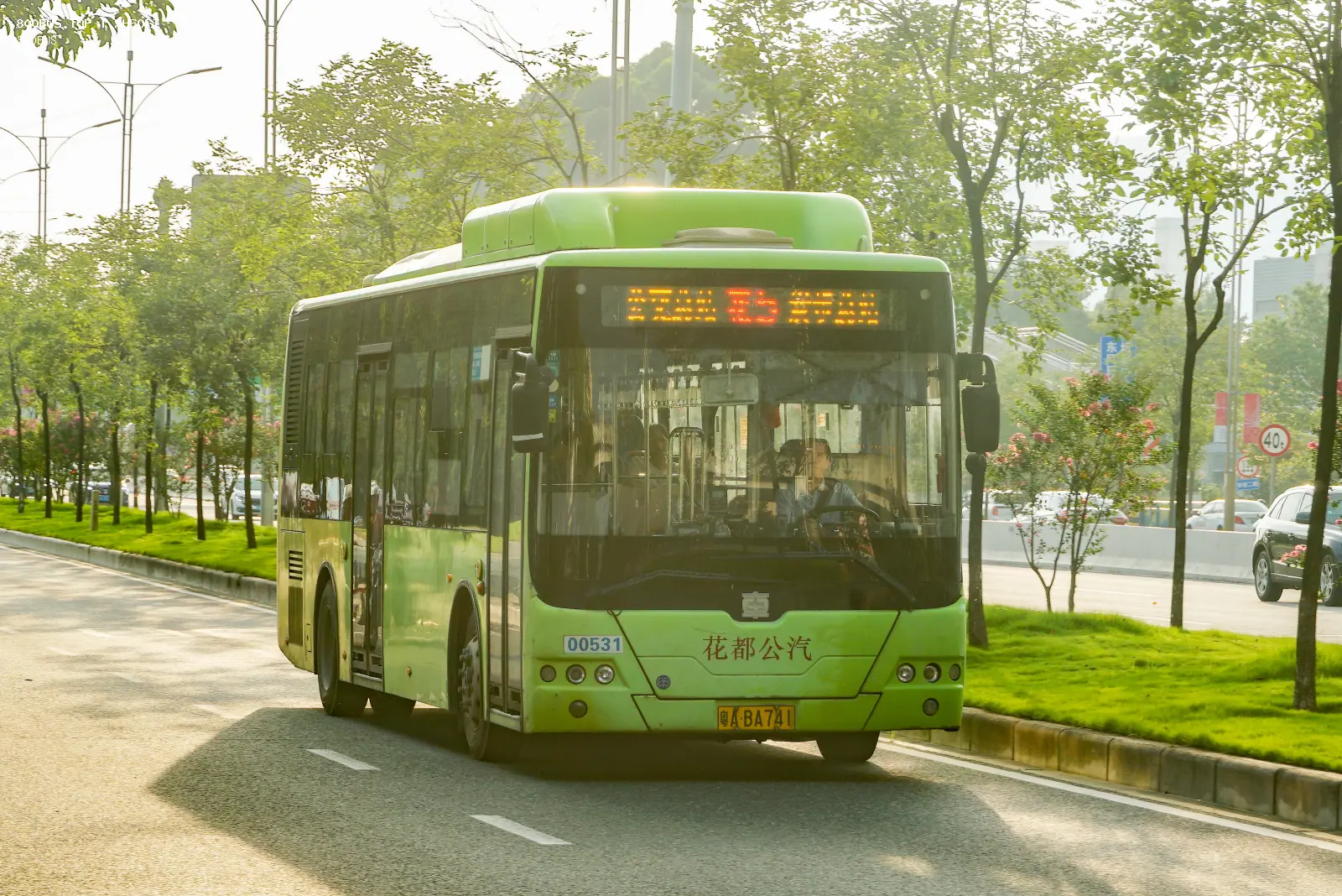 Bus Archive