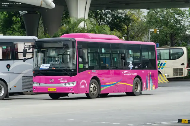 粤A BS689