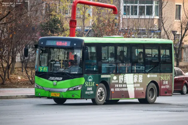 辽A M8293