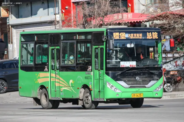 辽M S6251