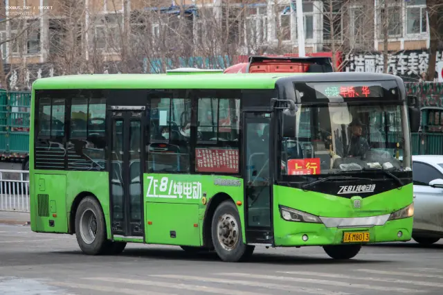 辽A M8013