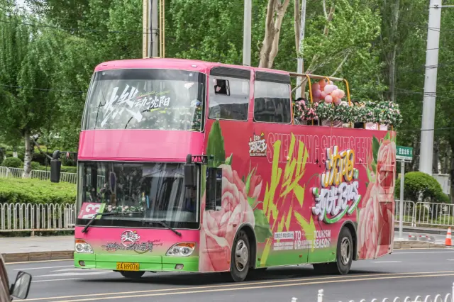 辽A H9076
