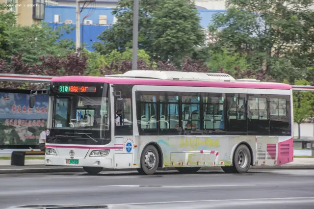 陕D 06582D