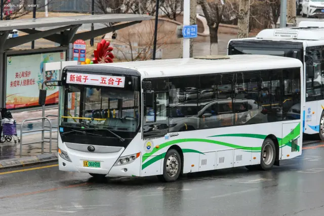 辽A 06890D