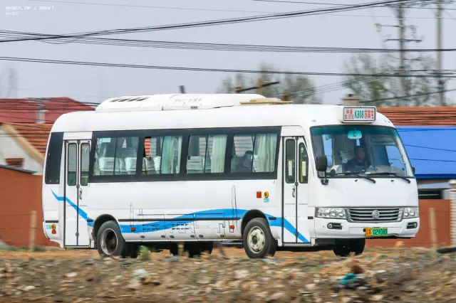 辽A 02908D