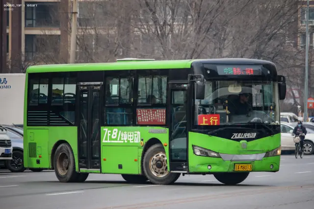 辽A M8013