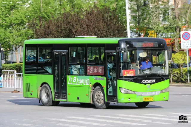 辽A M8013