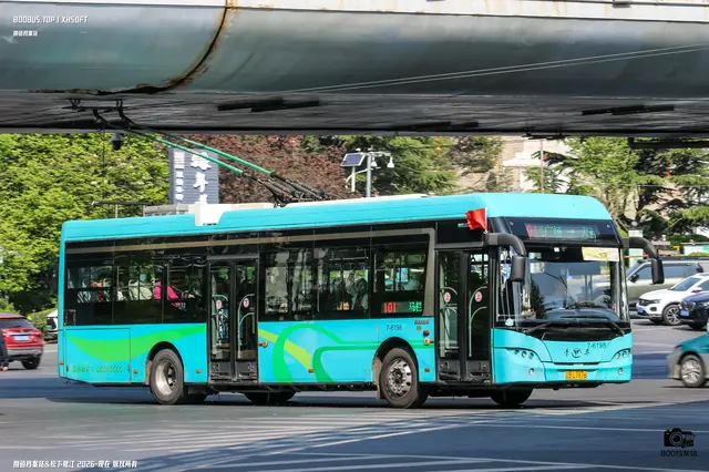 800BUS