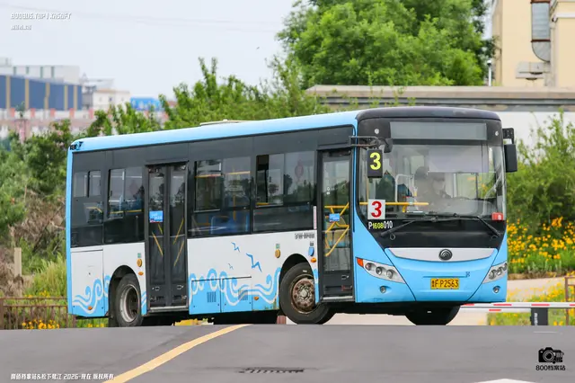 鲁F P2563