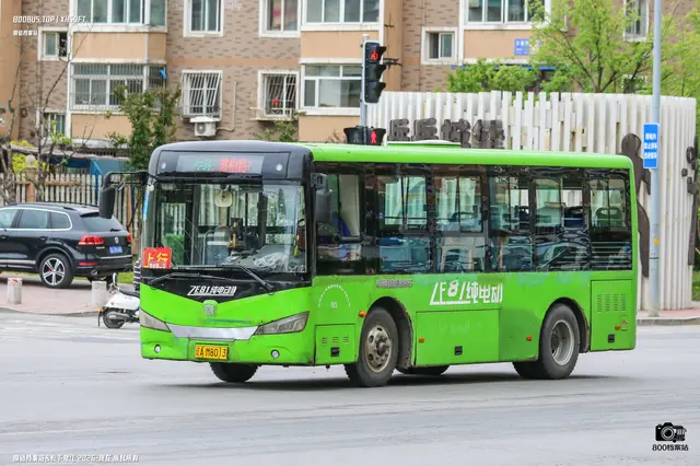 辽A M8013
