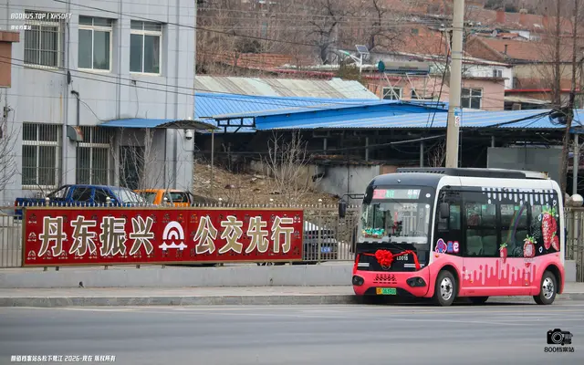 800BUS