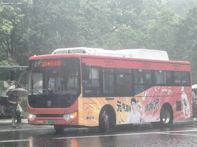 浙A 30238D