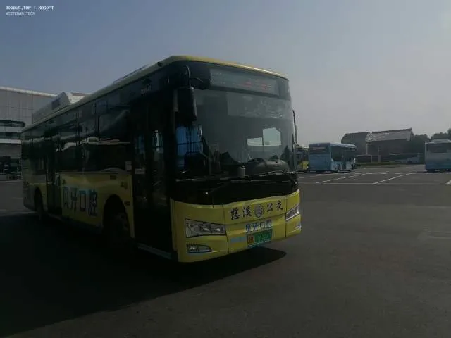 浙B 07397D