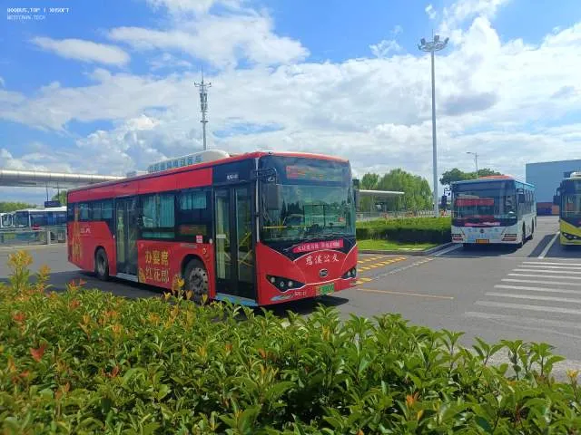 浙B 35009D