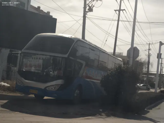 800BUS