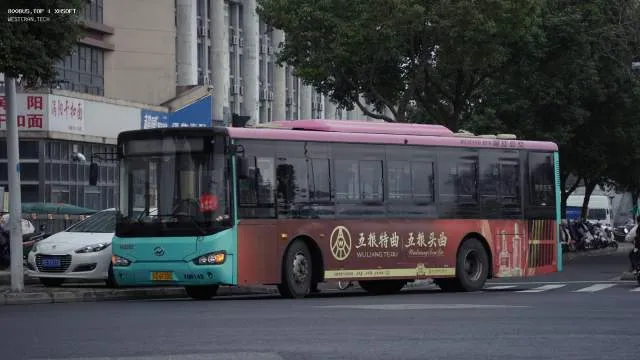 苏E 6F205