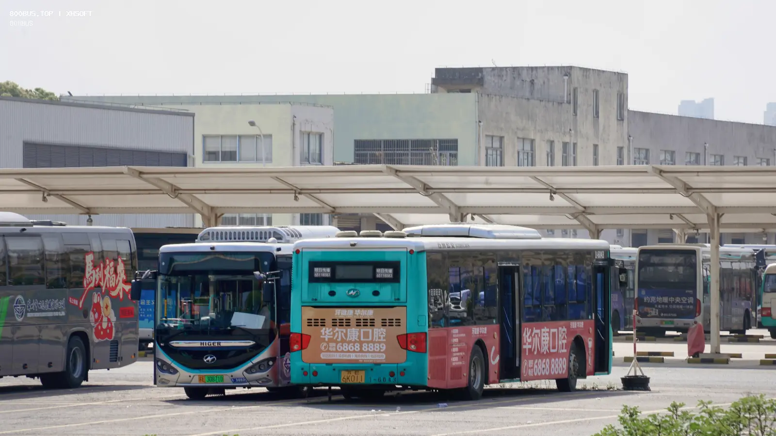 Bus Archive