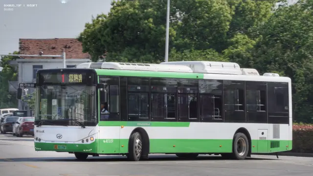 800BUS