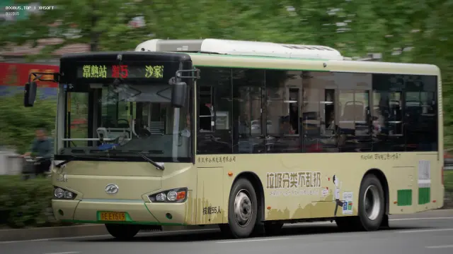 800BUS