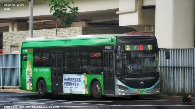 800BUS