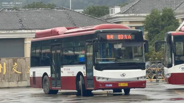 浙C 10012