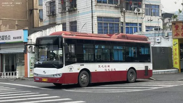 浙C11766