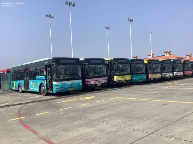 浙C 35313