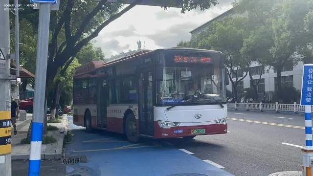 浙C 08655F