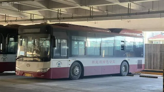 浙C 51102