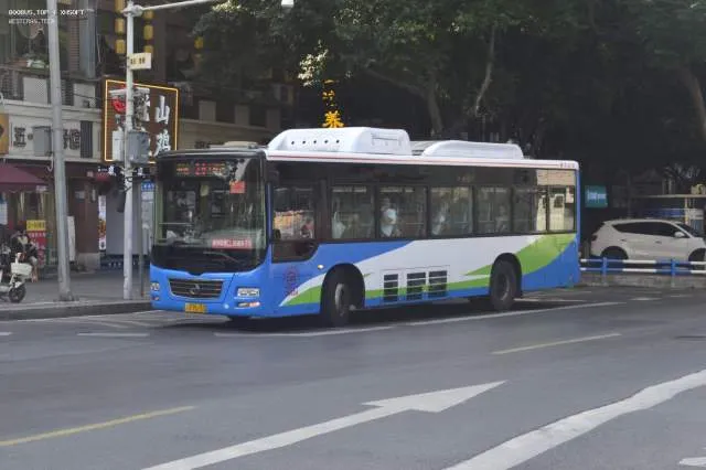 渝A 95153