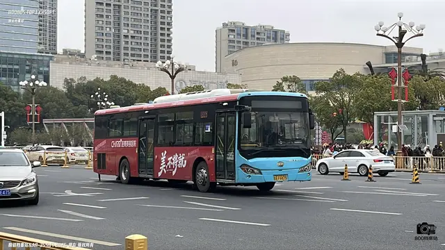 800BUS