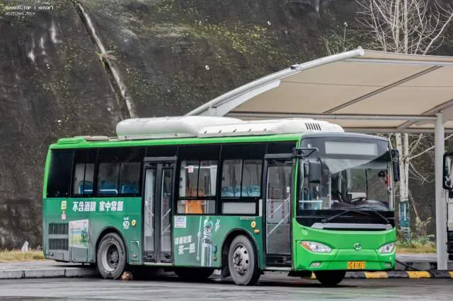 川S81817