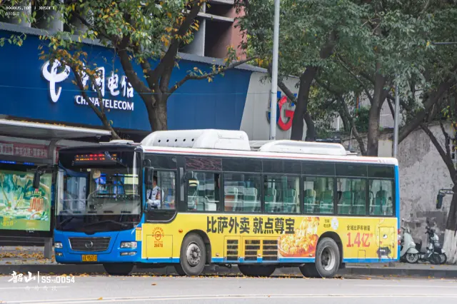 渝A85010