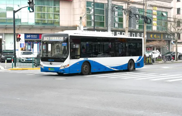 800BUS