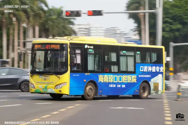 琼A 08390D
