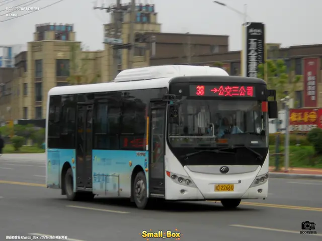 800BUS