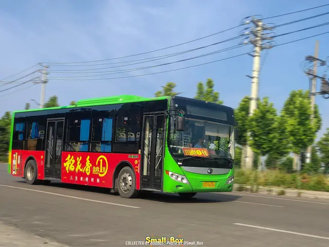豫D P6056