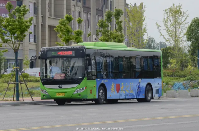 800BUS