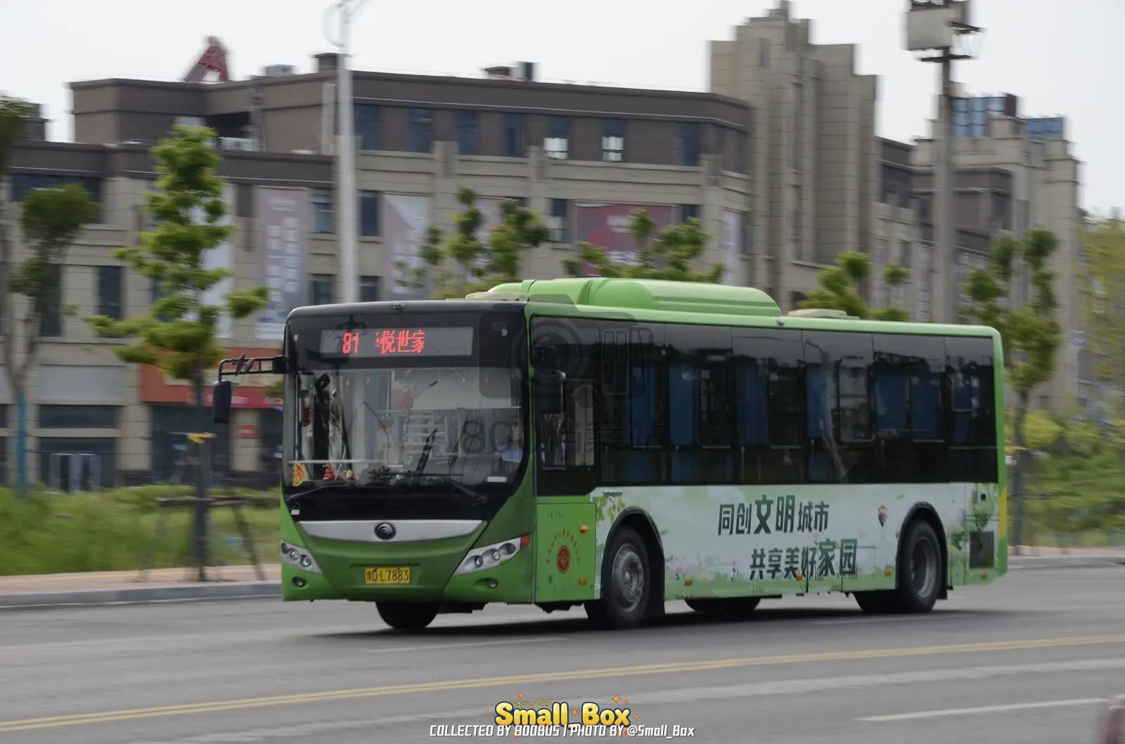 Bus Archive