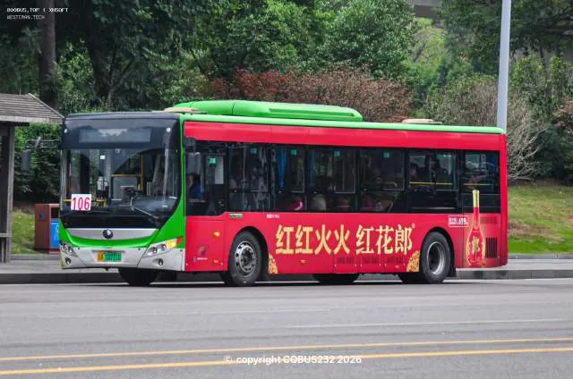 渝A.10771D