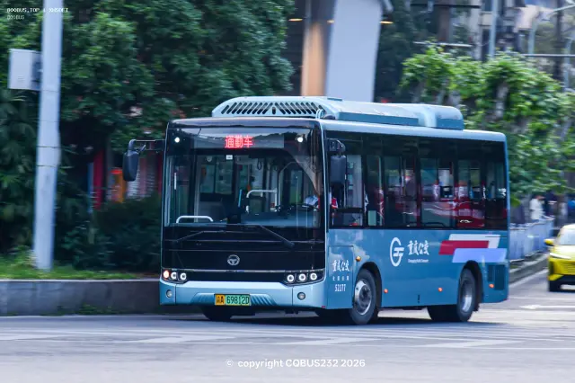 800BUS