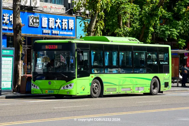 800BUS