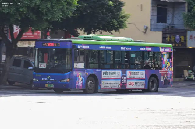 800BUS