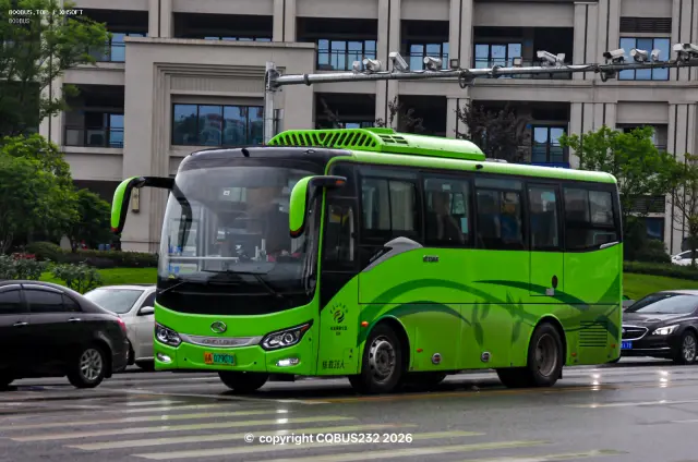 800BUS