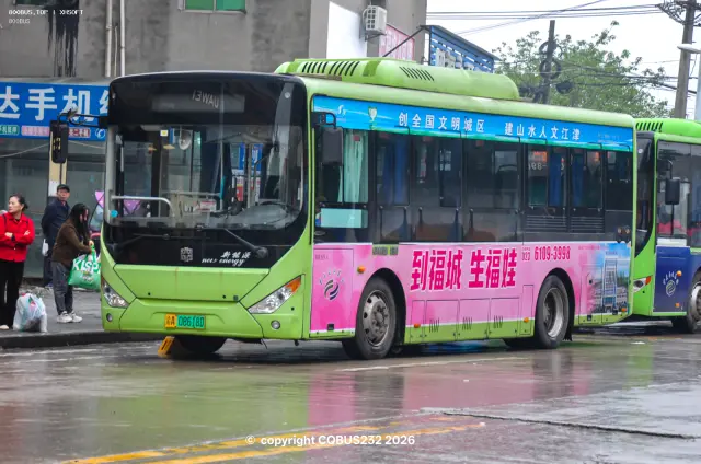 800BUS