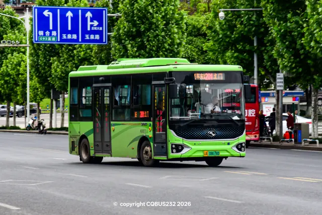 800BUS