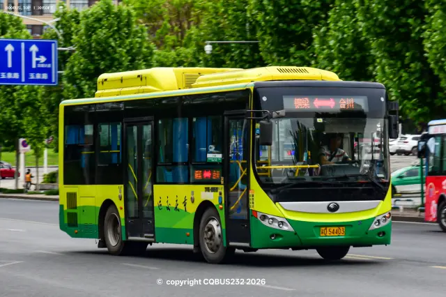 800BUS
