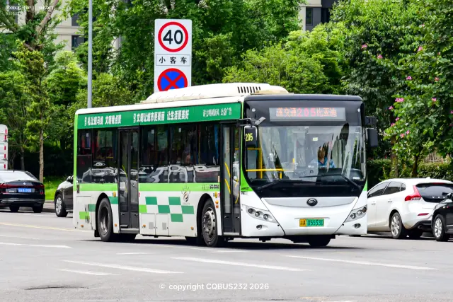 800BUS
