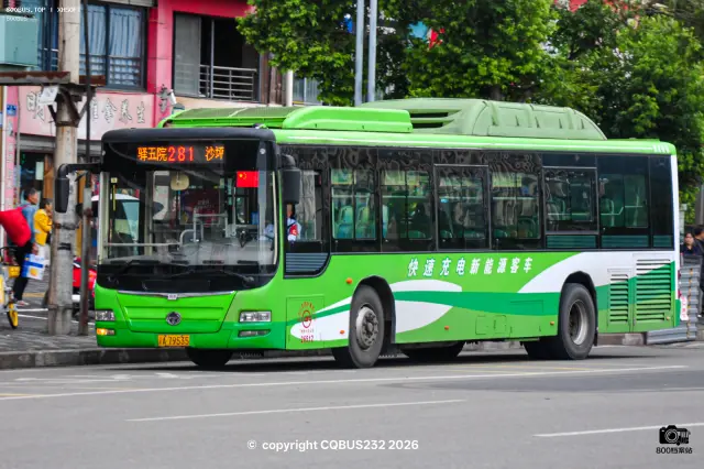 渝A 79535